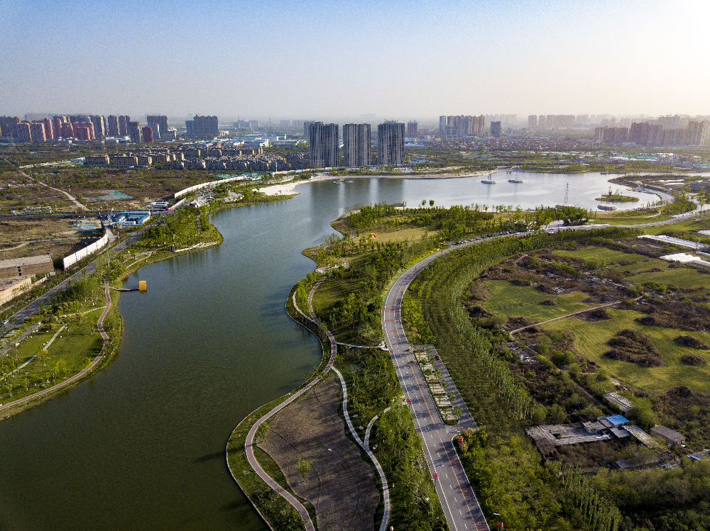 華曦園林葛慧莉：20年只做了一件事