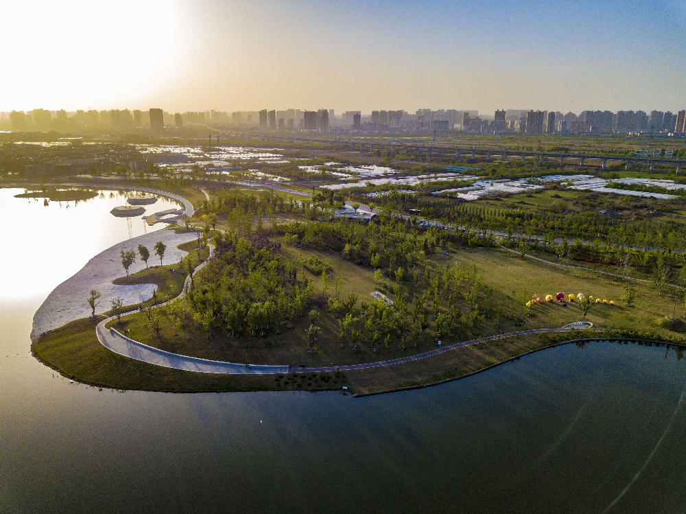 華曦園林葛慧莉：20年只做了一件事