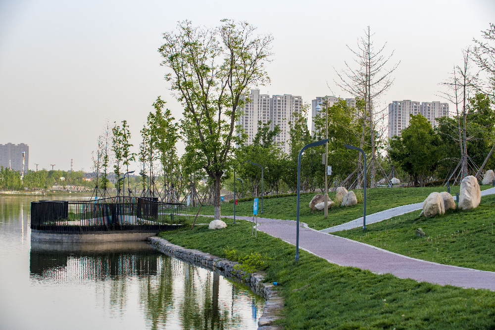 華曦園林葛慧莉：20年只做了一件事