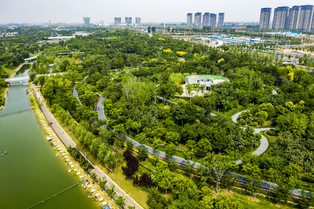 華曦園林葛慧莉：20年只做了一件事