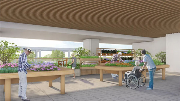 賽瑞景觀丨深圳市南山區(qū)福利中心三期