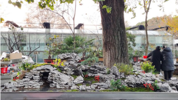 南京林業大學“江南園林遺產保護與活化”實驗室揭牌