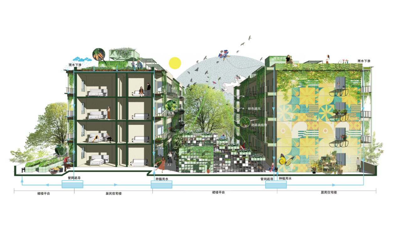 第十三屆園冶杯一等獎作品|一蔬難求 疫鍵耕新