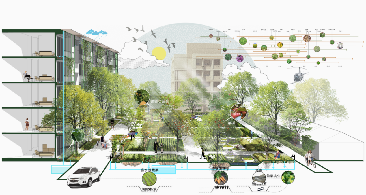 第十三屆園冶杯一等獎作品|一蔬難求 疫鍵耕新