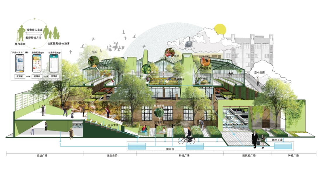 第十三屆園冶杯一等獎作品|一蔬難求 疫鍵耕新