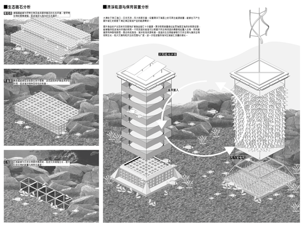 澳海興事——基于藍(lán)碳經(jīng)濟理念下的漁村產(chǎn)業(yè)轉(zhuǎn)型與生態(tài)保育綜合設(shè)計