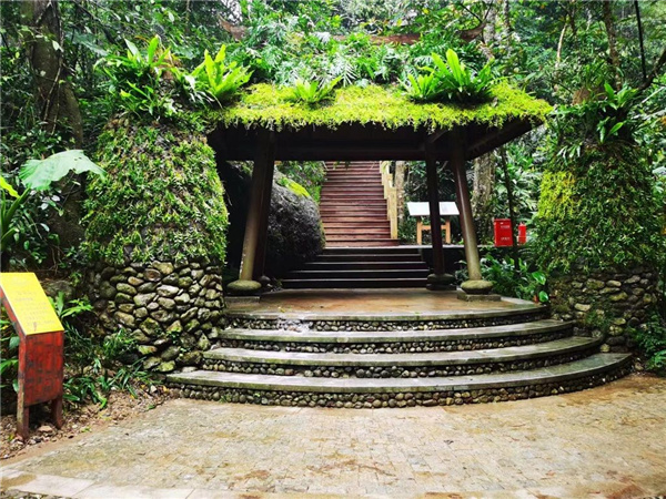 園冶杯金獎作品丨五指山熱帶雨林谷道修繕項目