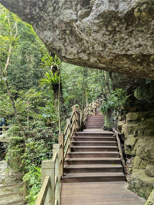 園冶杯金獎作品丨五指山熱帶雨林谷道修繕項目