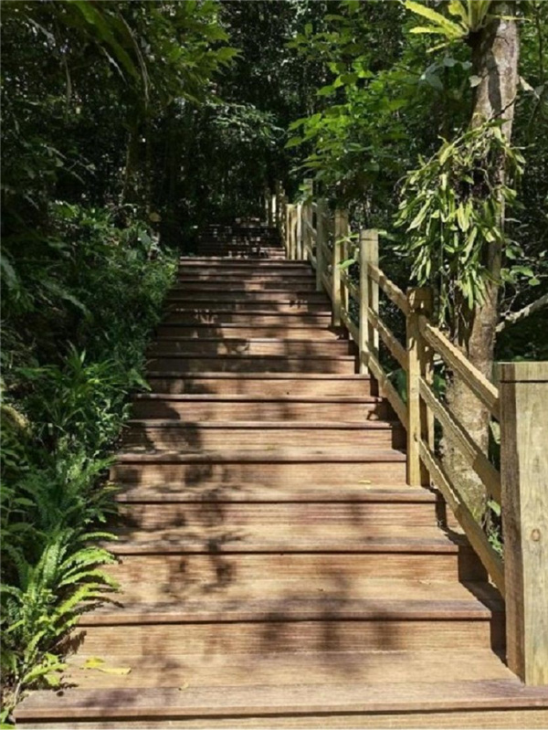 園冶杯金獎作品丨五指山熱帶雨林谷道修繕項目