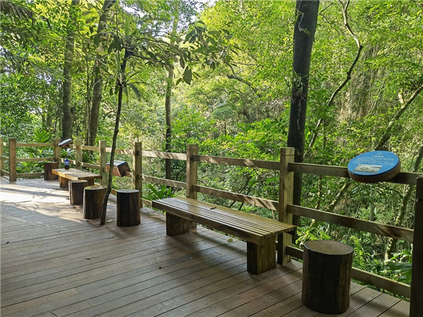 園冶杯金獎作品丨五指山熱帶雨林谷道修繕項目