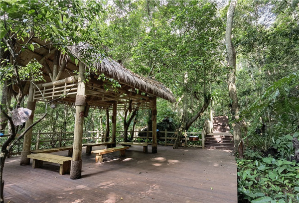 園冶杯金獎作品丨五指山熱帶雨林谷道修繕項目