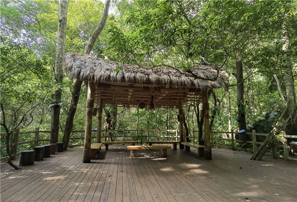 園冶杯金獎作品丨五指山熱帶雨林谷道修繕項目