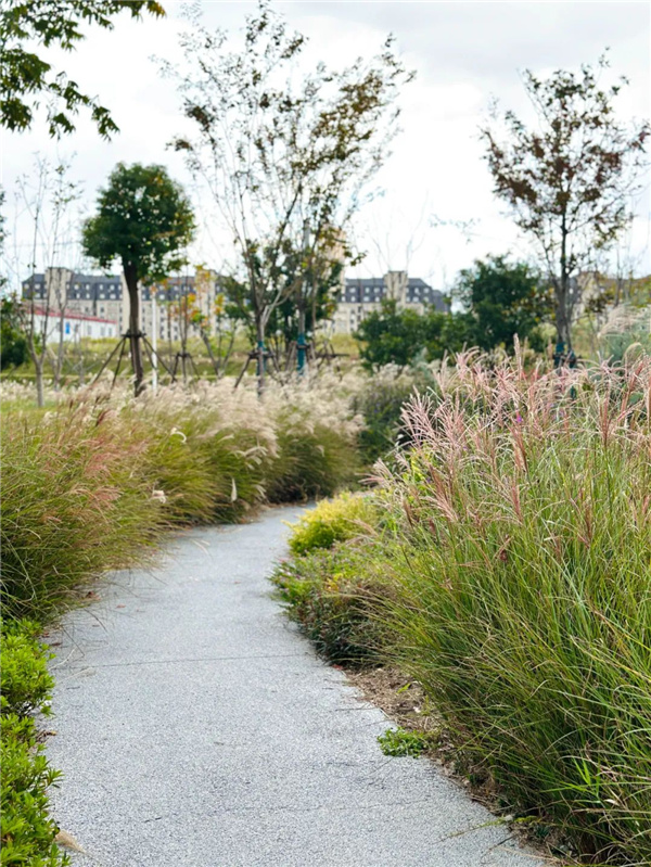 或然景觀丨上坤樾山南岸社區公園