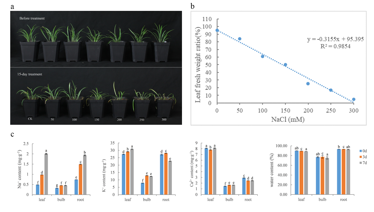 園冶杯一等獎得主孫紹營:研究“草原最美的花”