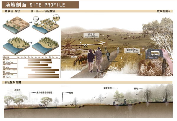 第十三屆園冶杯一等獎(jiǎng)作品 | “保”疆衛(wèi)境·無蚊而愈