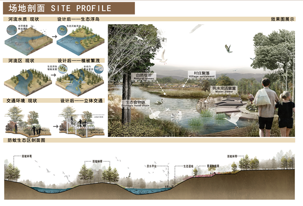 第十三屆園冶杯一等獎(jiǎng)作品 | “保”疆衛(wèi)境·無蚊而愈