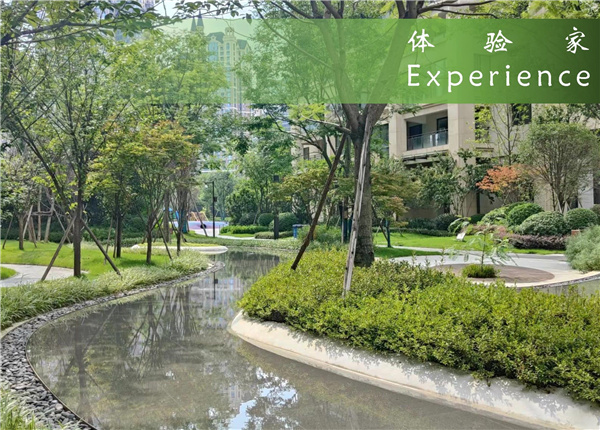 園冶杯獲獎作品丨中建天府公館