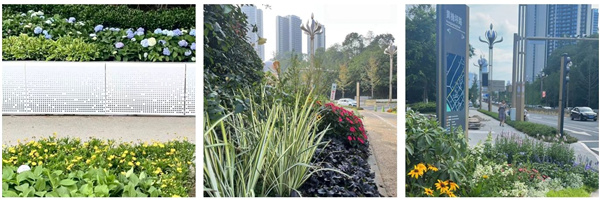 園冶杯獲獎作品丨三江新區黃桷坪大道景觀提升