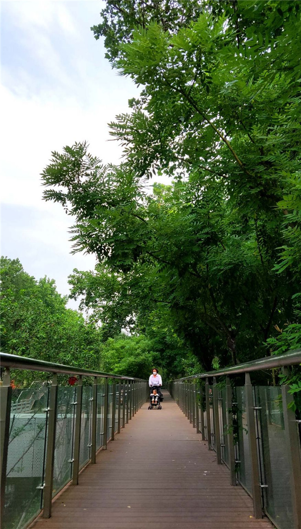 工商河開埠文化風貌帶綜合開發建設工程一期工程總承包(EPC)項目