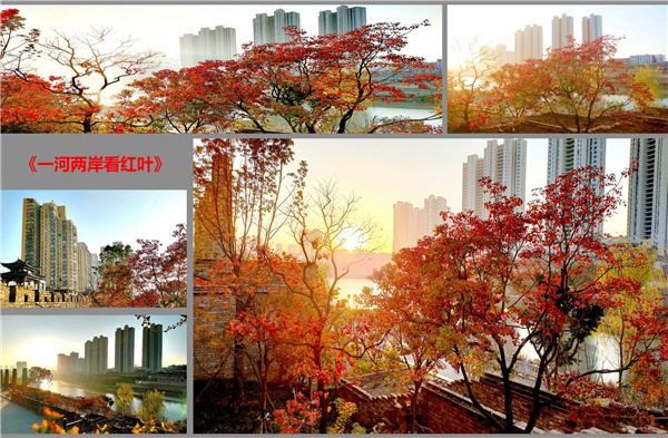 浠水河生態(tài)綜合整治工程PPP項目