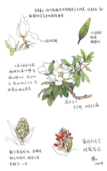 在自然中感受城市之美——讀《成都自然筆記》