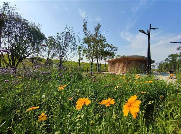 蘄春縣雷溪河整治二期及蘄河綜合整治工程PPP項目