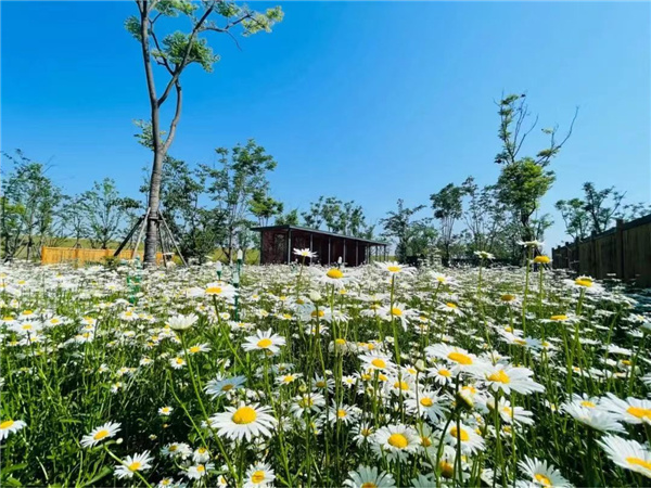 蘄春縣雷溪河整治二期及蘄河綜合整治工程PPP項目