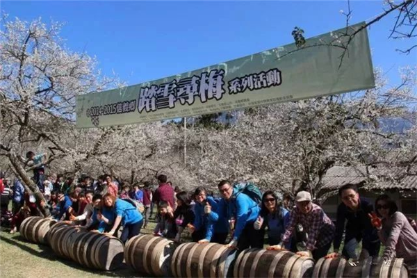 南投縣信義鄉：發揮地理優勢，打造梅子夢工廠