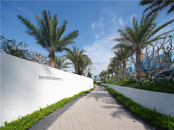 海南龍嶺清水灣IN+直播小鎮項目園林景觀設計