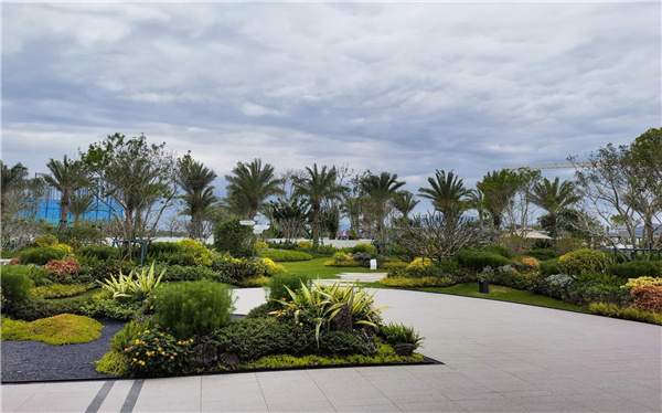 海南龍嶺清水灣IN+直播小鎮項目園林景觀設計