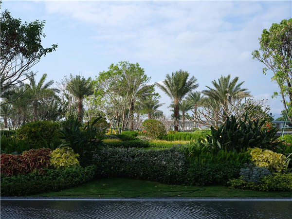 海南龍嶺清水灣IN+直播小鎮項目園林景觀設計