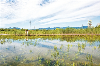 北京已形成生物多樣性保護(hù)空間體系