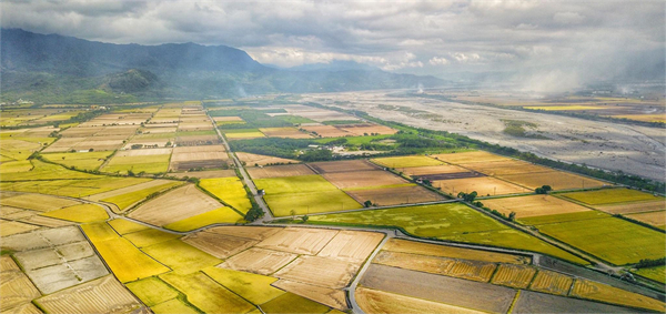 臺東縣池上鄉：稻米之鄉奏響四季樂章