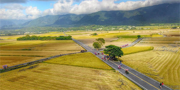 臺東縣池上鄉：稻米之鄉奏響四季樂章