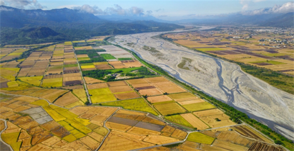 臺東縣池上鄉：稻米之鄉奏響四季樂章