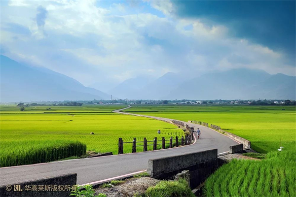 臺東縣池上鄉：稻米之鄉奏響四季樂章