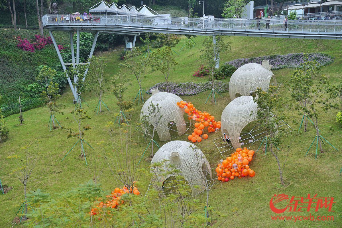 探營廣州園博會：移步換景賞雅色 繡球簇擁廣州城