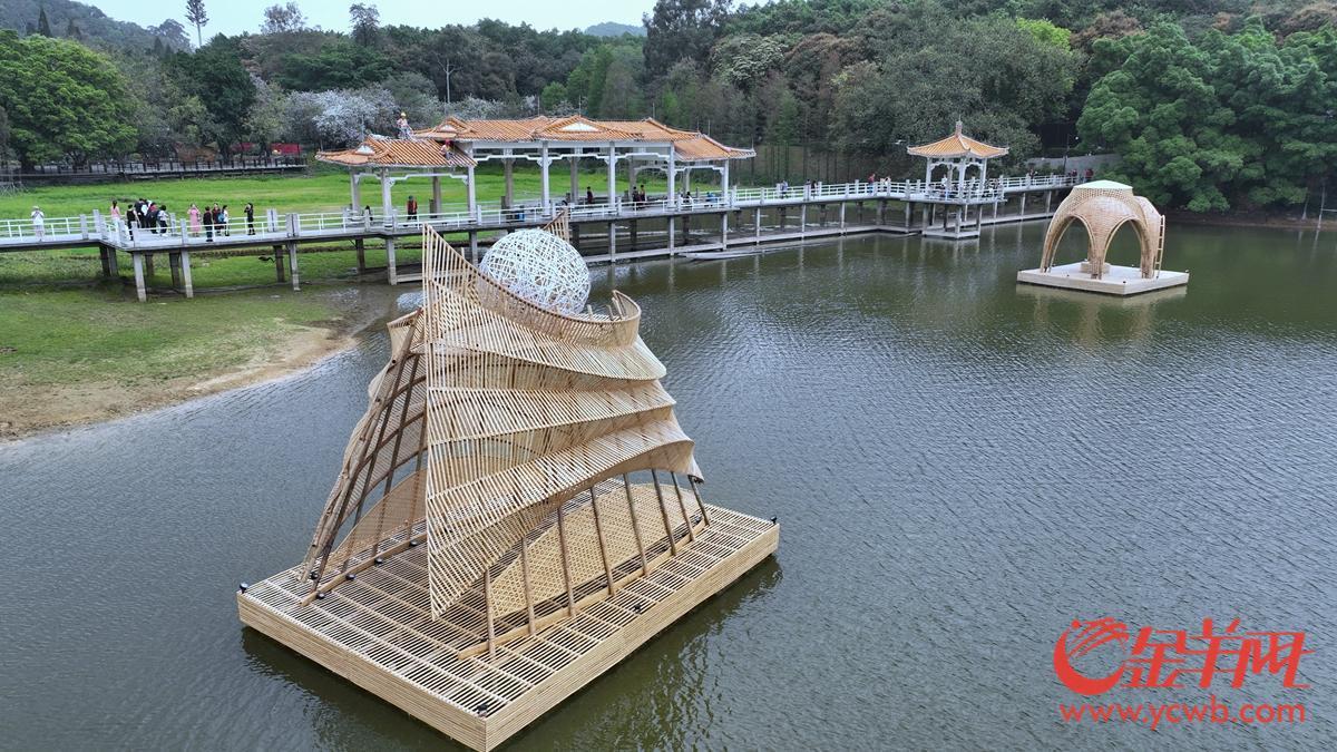 探營廣州園博會：移步換景賞雅色 繡球簇擁廣州城