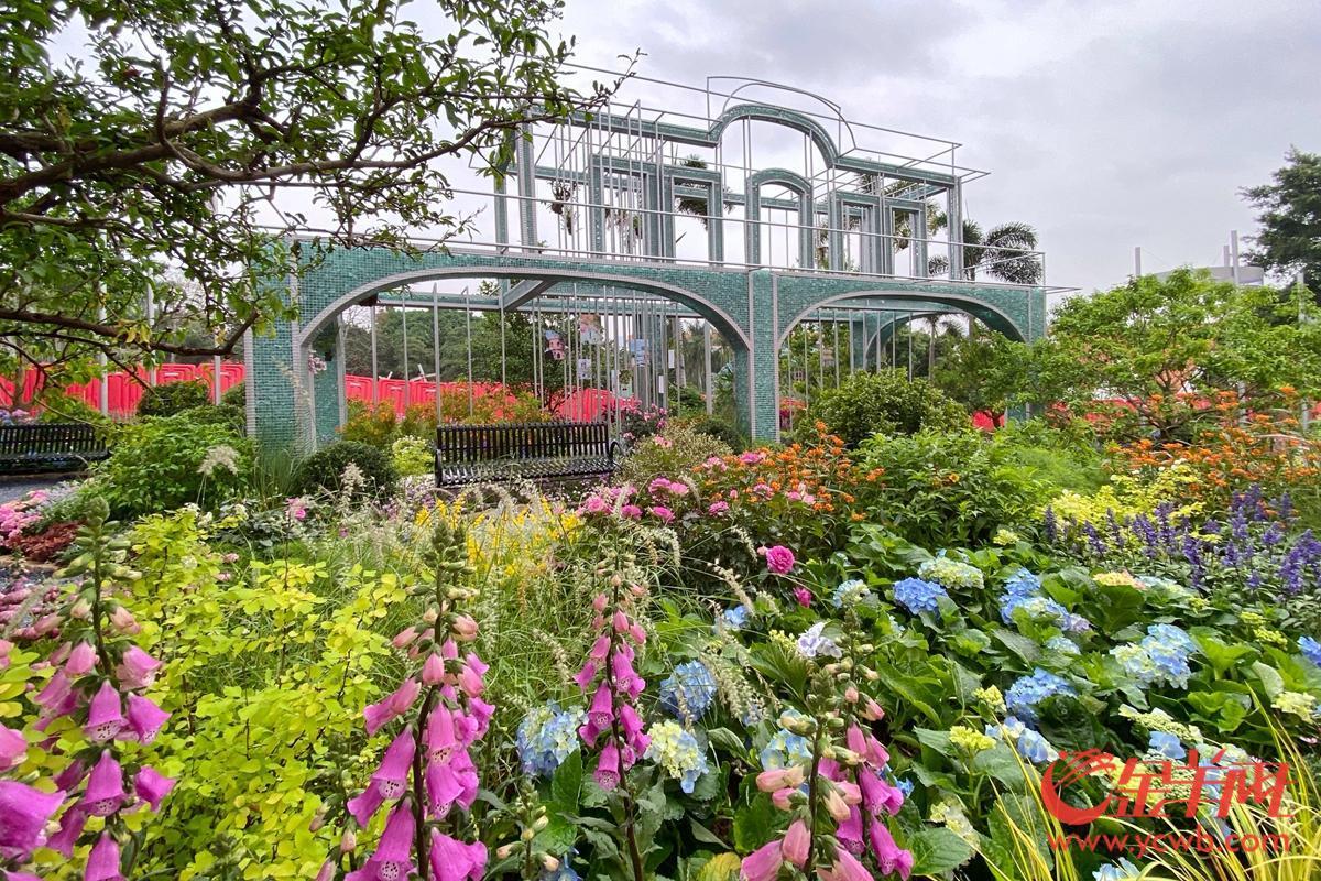 探營廣州園博會：移步換景賞雅色 繡球簇擁廣州城