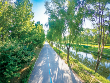 北京朝陽:主攻大尺度綠化,率先建設公園城市示范區