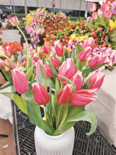 花卉產(chǎn)業(yè)發(fā)展的活力與美好