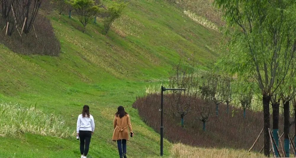 今年重慶將建設(shè)41條山城綠道