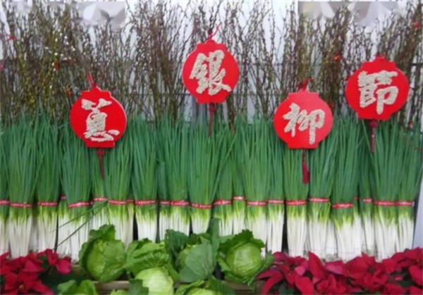 宜蘭縣三星鄉(xiāng):蔥滿勝算 盡在三星