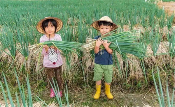 宜蘭縣三星鄉(xiāng):蔥滿勝算 盡在三星