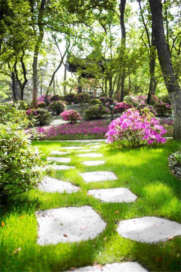 園冶杯獲獎作品丨合肥逍遙津公園提升改造