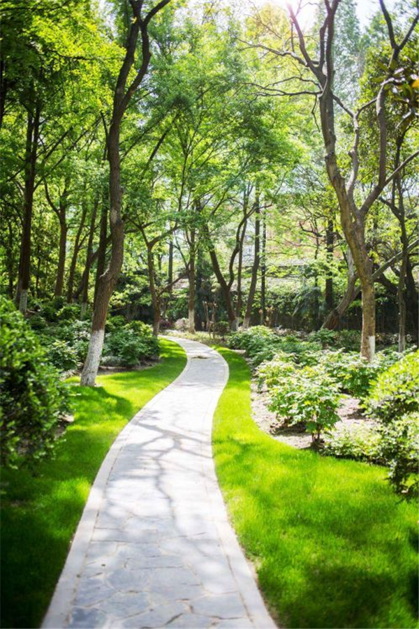 園冶杯獲獎作品丨合肥逍遙津公園提升改造