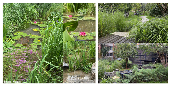 園冶杯獲獎作品丨車公莊19號院景觀改造