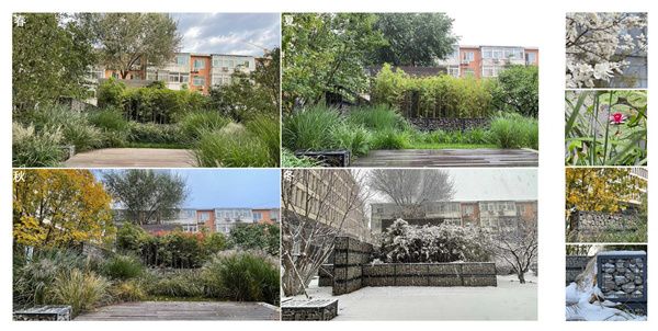 園冶杯獲獎作品丨車公莊19號院景觀改造