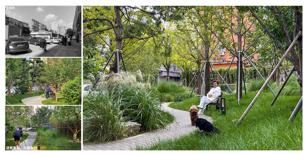 園冶杯獲獎作品丨車公莊19號院景觀改造