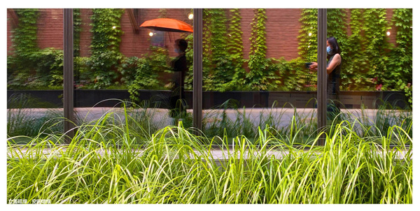 園冶杯獲獎作品丨車公莊19號院景觀改造